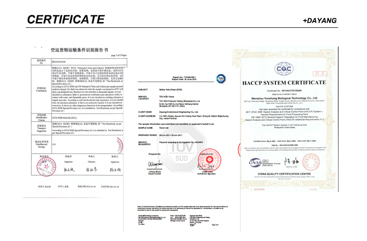 10.Certificate